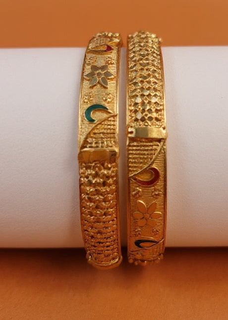 Sanvi Bangle (Set of 2)