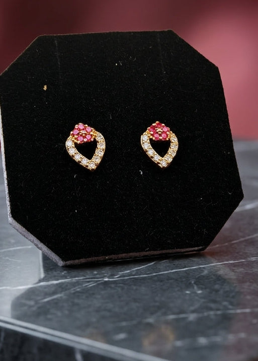 Dhanvi Earring