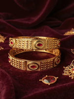 Reetika Bangle (Set of 2)