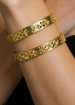 Soni Bangle (Set of 2)