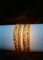 Zareen Bangle (Set of 4 )