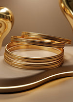 Yashika Bangle (Set of 4)