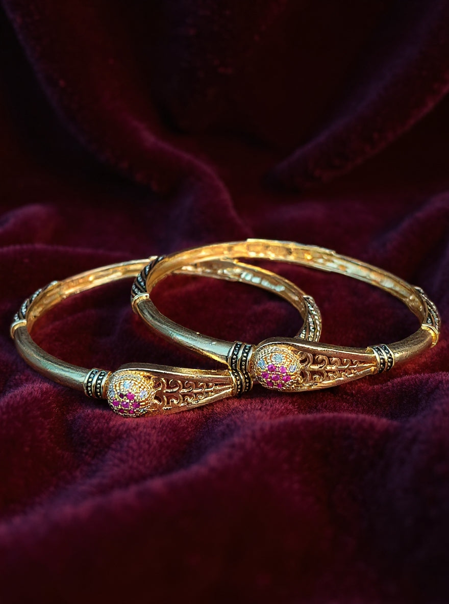 Aashvi Bangle(Set of2)