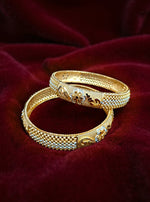 Areeba Bangle( Set of 2 )