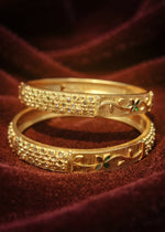 Rashi Bangle (Set of 2)