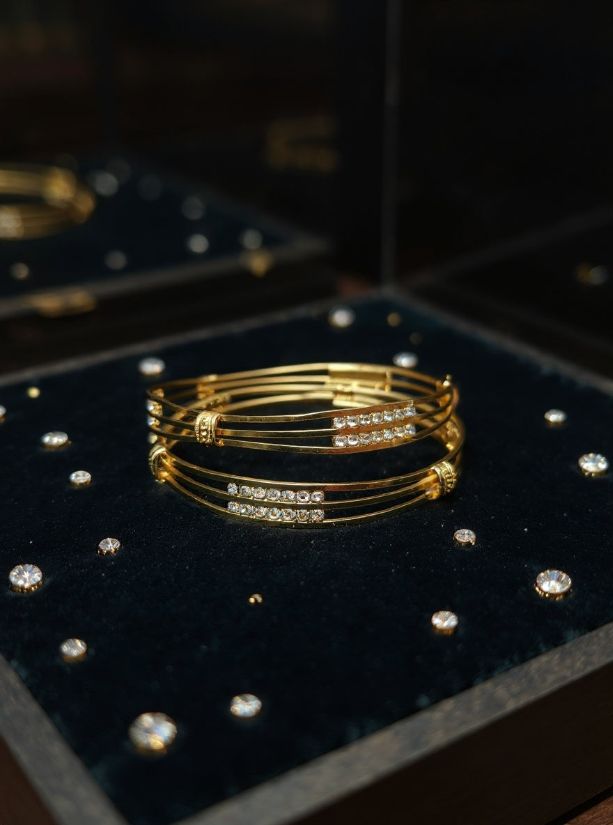 Manvi Bangle(Set of 2)