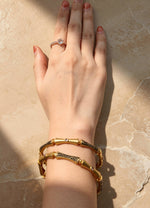 Vaidehi Bangle(Set of 2)