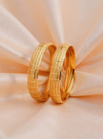Vanshika Bangle(set of 2)