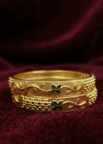 Rashi Bangle (Set of 2)