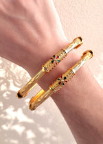 Vedika Bangle (Set of 2)
