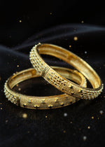 Kirti Bangle (Set of 2)