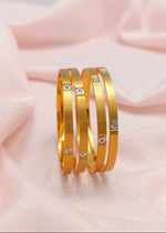Ziva Bangle (Set of 4)