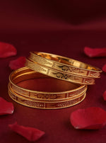 Dharika Bangle(Set of 4)