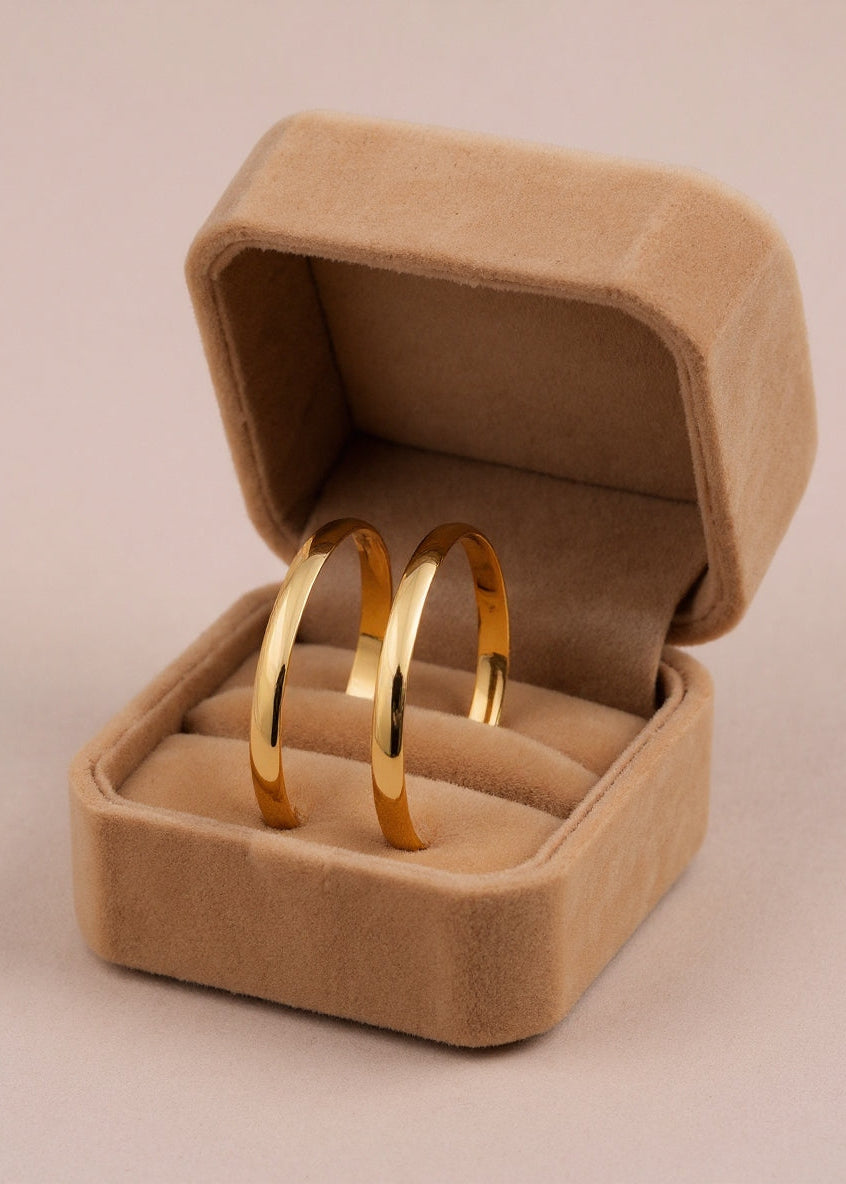 Nalini Bangle(Set of 2)