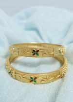 Rashi Bangle (Set of 2)