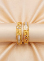 Areeba Bangle( Set of 2 )