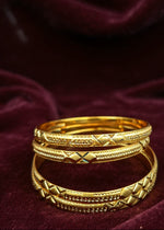 Zareen Bangle (Set of 4 )