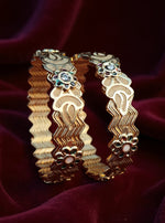 Avisha Bangle(Set of 2)