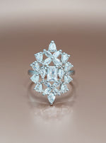 Arpita Ring (Silver)