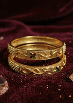 Rashi Bangle (Set of 2)