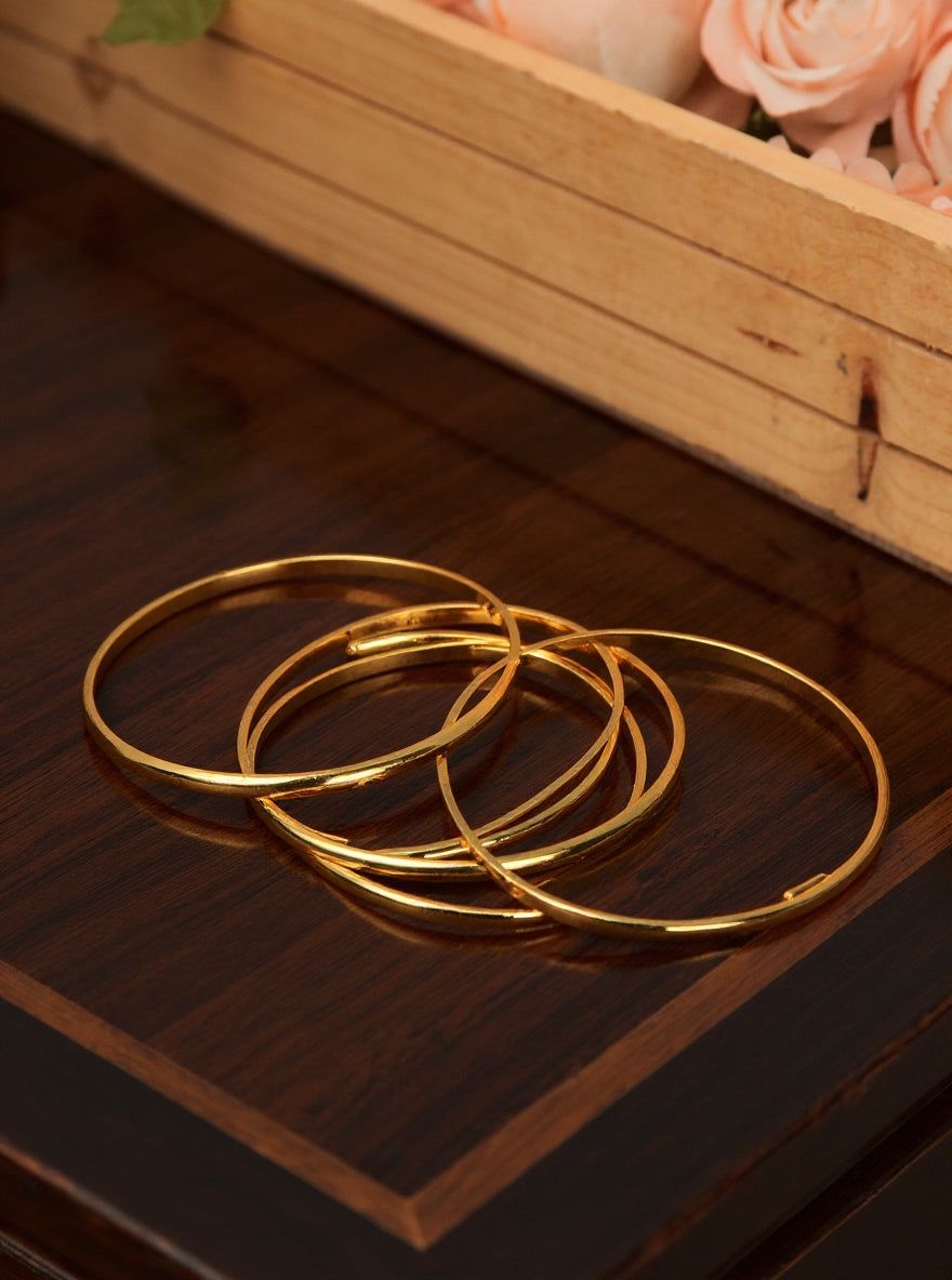 Simran Bangle (Set of 4)