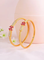 Ayesha Bangle (Set of 2)
