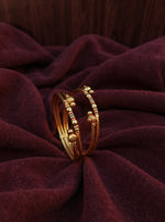 Neerja Bangle (Set of 2)