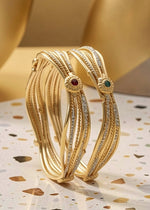 Ragini Bangle(Set of 2)