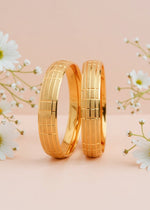 Vanshika Bangle(set of 2)