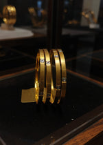 Ziva Bangle (Set of 4)