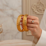 Vanshika Bangle(set of 2)