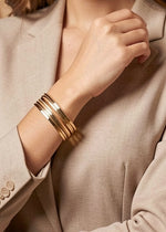 Netra Bangle(Set of 2)
