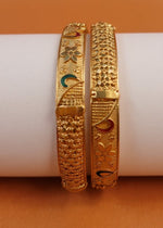 Sanvi Bangle (Set of 2)