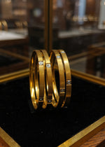 Ziva Bangle (Set of 4)