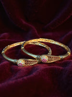 Aashvi Bangle(Set of2)