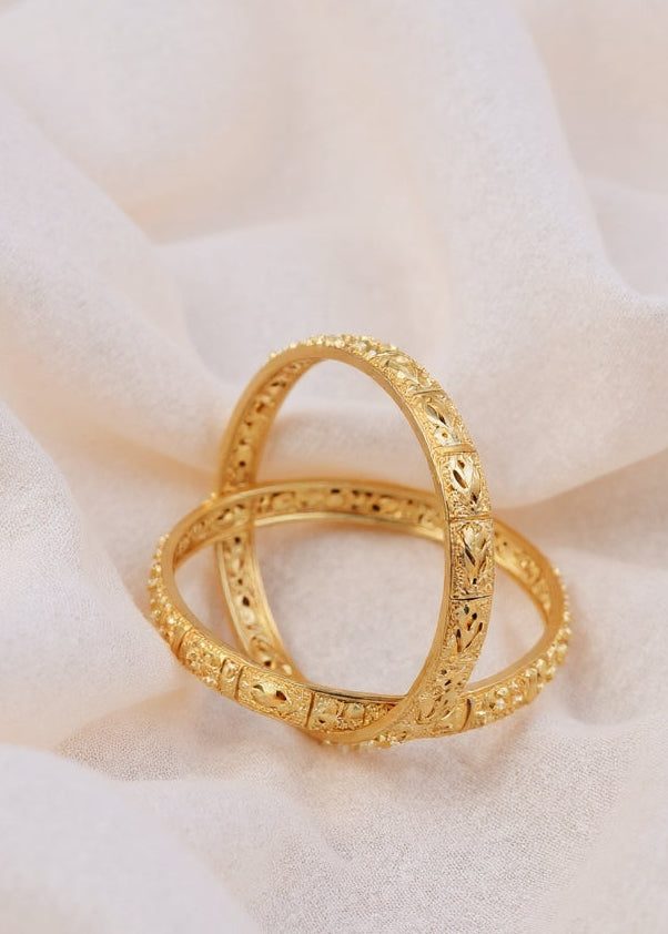 Mahi Bangle ( Set of 2 )