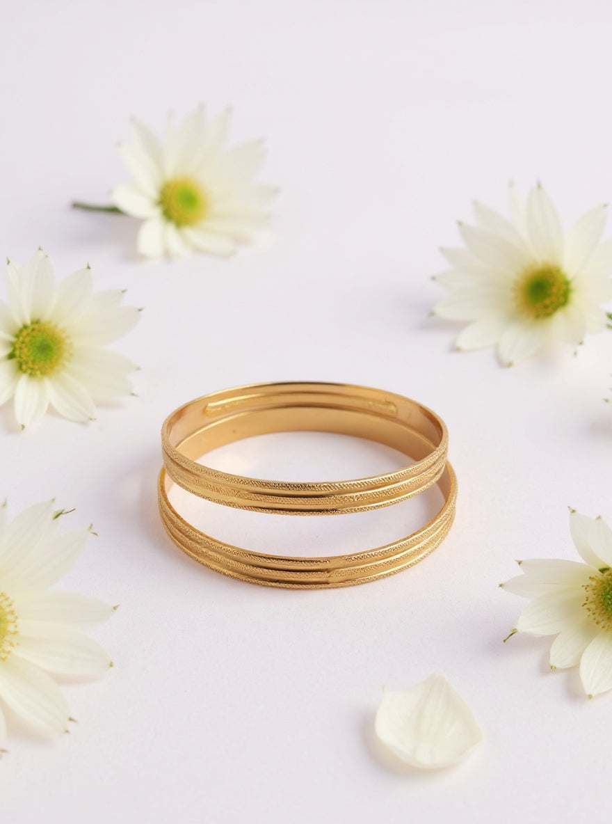 Netra Bangle(Set of 2)