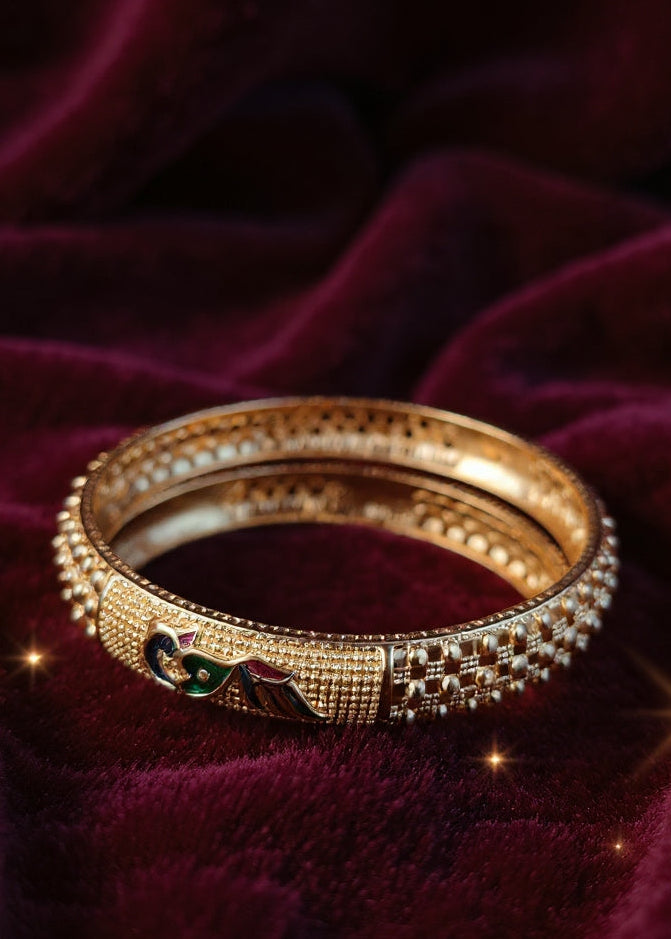 Priya Bangle (Set of 2)