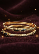 Hansini Bangle ( Set of 2 )