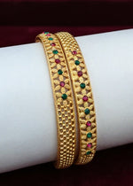 Arohi Bangle (Set of 2)