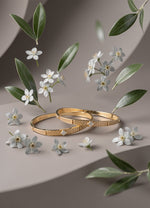 Isha Bangle(Set of 2)