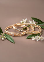 Nivika Bangle(Set of 2)
