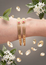 Ayra Bangle(Set of 2)