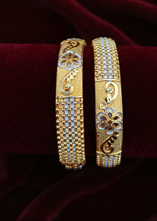 Areeba Bangle( Set of 2 )