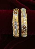 Areeba Bangle( Set of 2 )