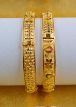 Sanvi Bangle (Set of 2)