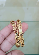 Gulnaar Bangle ( set of 2 )