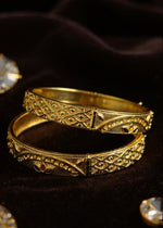 Trisha Bangle (Set of 2)