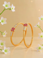 Ayesha Bangle (Set of 2)