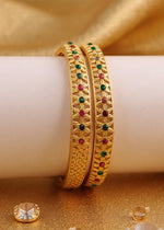 Arohi Bangle (Set of 2)